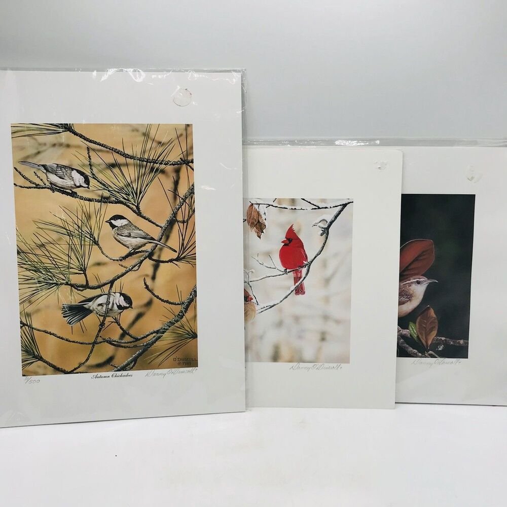 Lot of 3. Artist Danny O'Driscoll Signed Numbered Art Prints, Birds, Cardinals